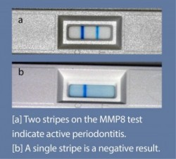 mmp8-test