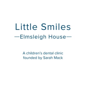 Little Smiles logo Social